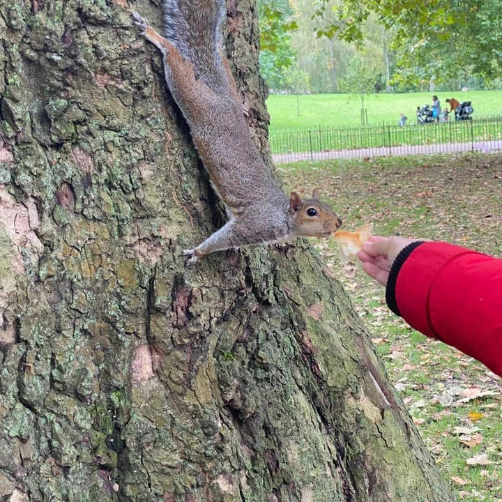 Foto destaque do artigo