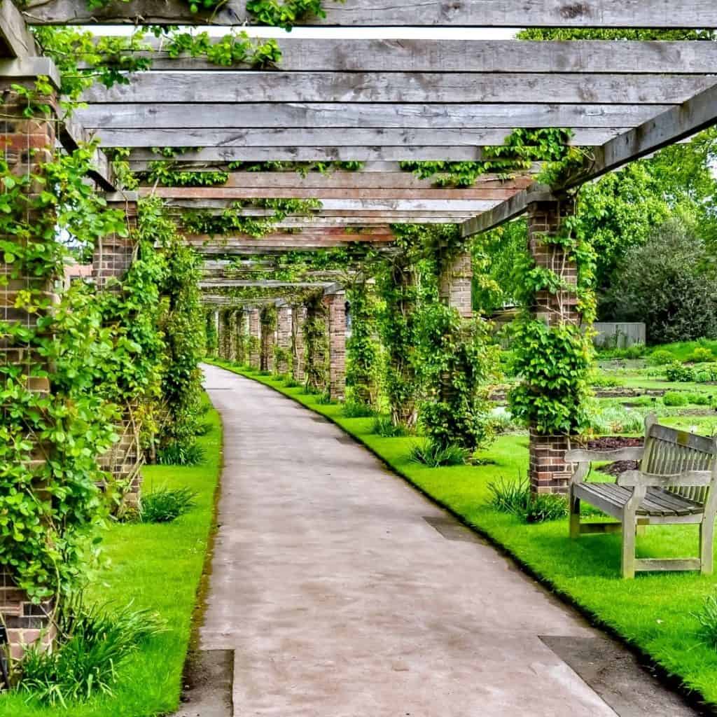 Kew Garden - Turistando em Londres - O que fazer na primavera em Londres - Bate Papo Blog